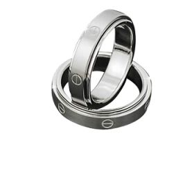Men's 316L Stainless Steel Spinner Ring with screw design