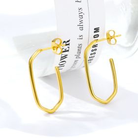 Fashion And Fashion Jewelry Stainless Steel Earrings (Color: Gold)